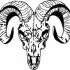 Ram skull - Image 2
